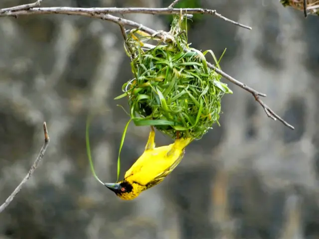 Photographie de Philippe Czeher (6)