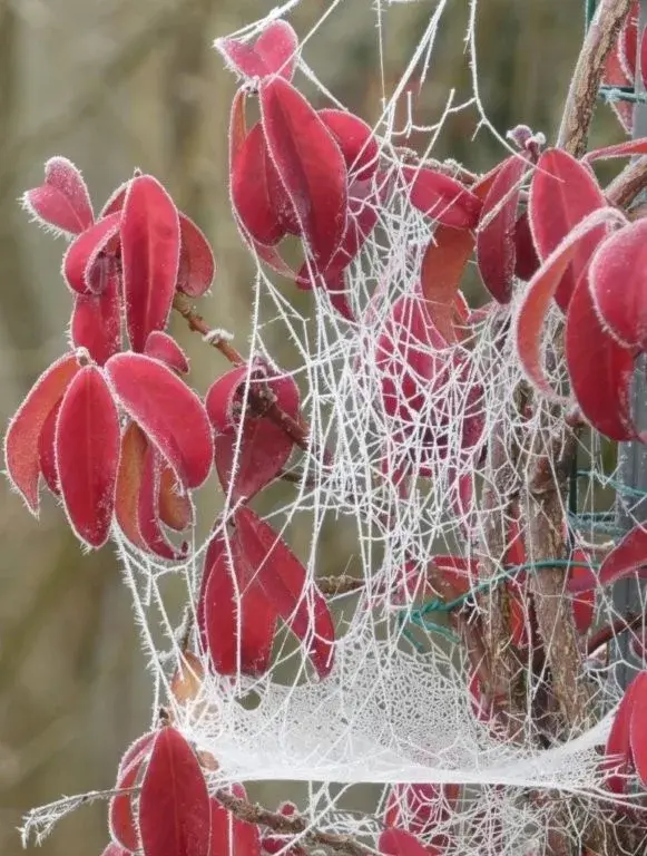 Photographie de Philippe Czeher (1)