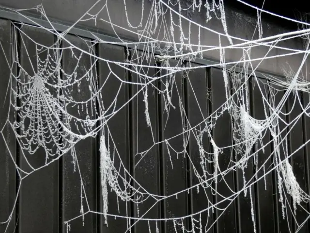 Photographie de Philippe Czeher (2)