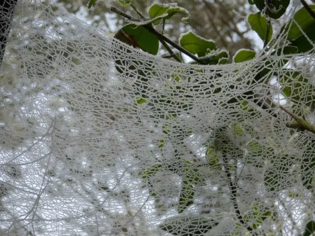 Photographie de Philippe Czeher (3)