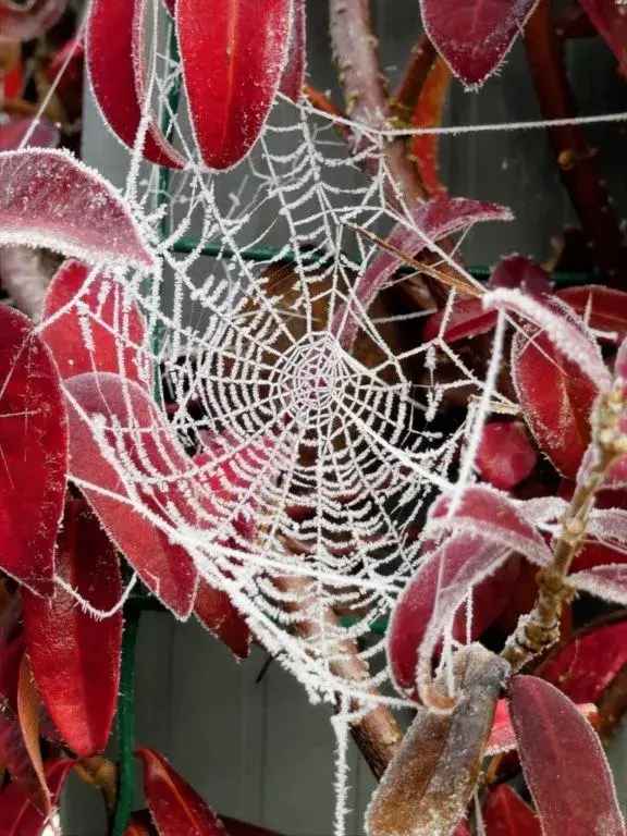 Photographie de Philippe Czeher (4)