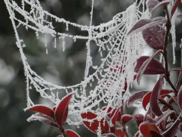 Photographie de Philippe Czeher (7)